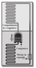 Figura de uma geladeira interna