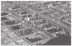 Parque de engorda de bovinos nos EUA