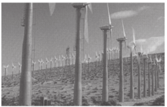 Parque eólico na Califórnia