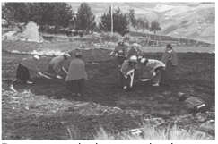 Pequena agricultura praticada em região andina