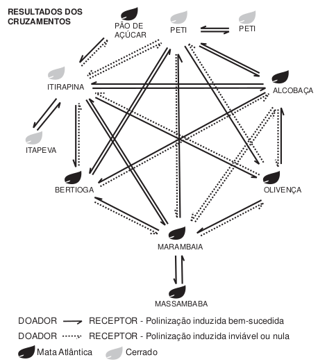 diagrama estão os resultados dos cruzamentos entre as populações