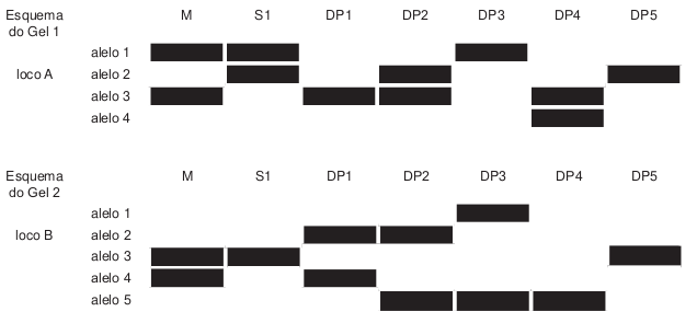 Esquema de locos de marcadores de DNA