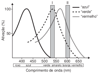 Gráfico da ativação pelo comprimento de onda