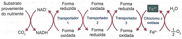 imagem do esquema acima