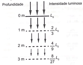 O esquema mostra como a intensidade luminosa decresce com o aumento da profundidade em um rio, sendo L0 a intensidade na sua superfície.