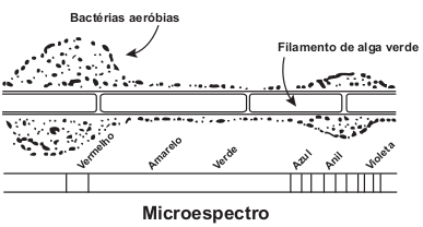 Esquema que o aluno fez na lousa