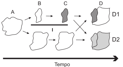 Figura com a representação dos movimentos da população