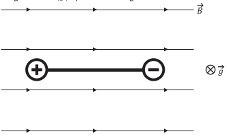 A imagem apresenta o sistema visto de cima para baixo, no mesmo sentido da aceleração da gravidade (g) que atua na região.