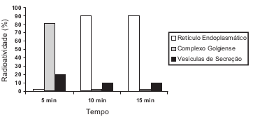 2 Gráfico da evolução