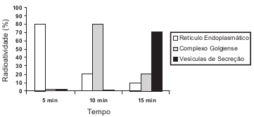 3 Gráfico da evolução