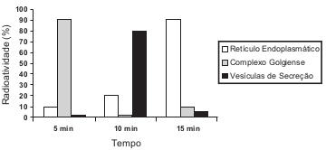 4 Gráfico da evolução