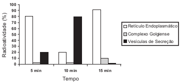 5 Gráfico da evolução