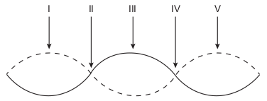 Imagem da Parte da onda estacionária gerada no interior do forno