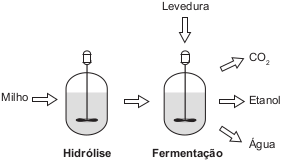 O esquema representa, de maneira simplificada, o processo de produção de etanol utilizando milho como matéria-prima.