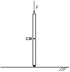 imagem da muleta com representação das forças