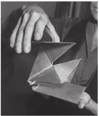 imagem da obra o bicho de bolso