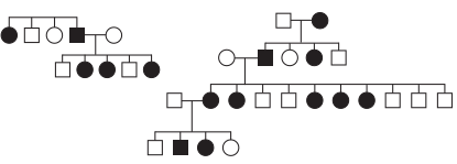 No heredograma, os símbolos preenchidos representam pessoas portadoras de um tipo raro de doença genética.