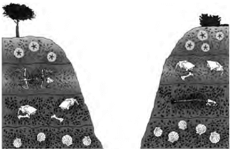 O esquema mostra depósitos em que aparecem fósseis de animais do Período Jurássico