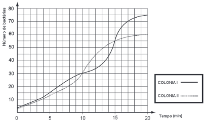 gráfico da evolução
