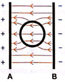 esquema do formato das linhas de campo 3