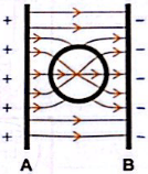 esquema do formato das linhas de campo 4