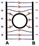 esquema do formato das linhas de campo 5