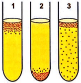 imagem dos tubos de ensaios