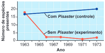 grafico coma representação dos dados