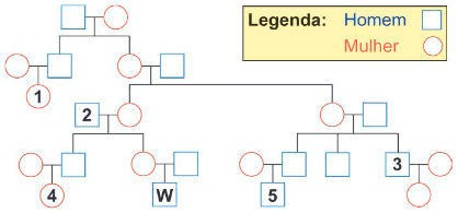 O heredograma apresenta a genealogia de uma família.