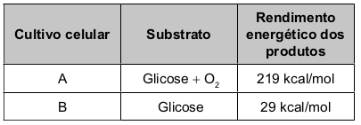 Quadro com os dois cutivos celulares