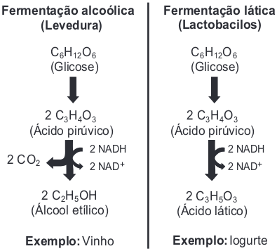 Imagem dos processos descritos