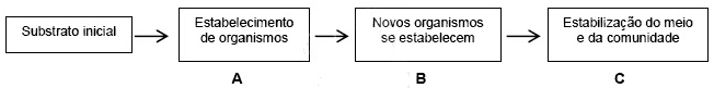 Analise o organograma que representa algumas fases de uma sucessão ecológica em um determinado bioma.