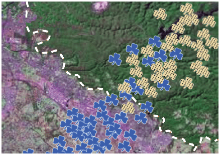 A figura a mostra indivíduos de uma espécie de erva daninha ao longo de um trajeto de aproximadamente 100 km