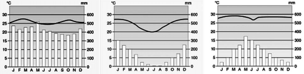 climogramas sobre os climas brasileiros