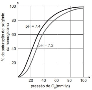 O gráfico abaixo mostra a influência do pH na combinação do oxigênio com a hemoglobina