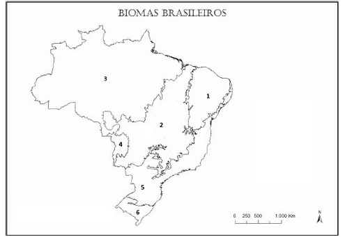 mapa com os biomas brasileiros