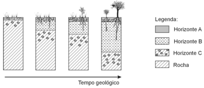 Figura que representa a formação do solo ao longo do tempo geológico