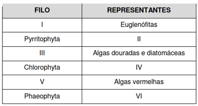 tabela dos filos e representantes