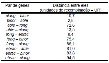 tabela mostra a distância entre eles.