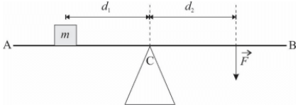 A figura a seguir mostra uma prancha retilínea AB que deve ser mantida na horizontal, em equilíbrio estático.