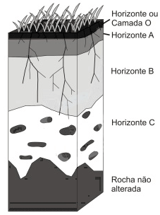figura de um perfil de solo