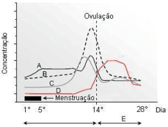 gráfico, relacionado ao ciclo menstrual humano