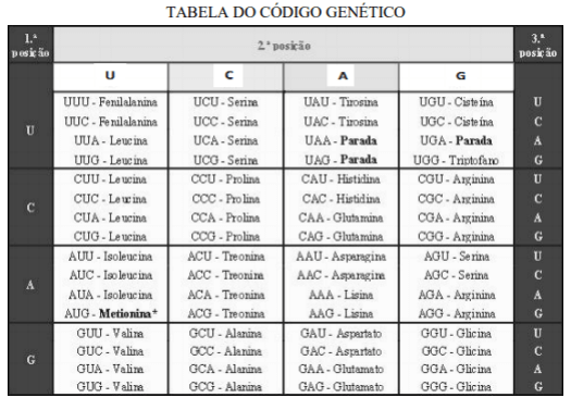A tabela a seguir representa a sequência de aminoácidos de um trecho de uma proteína e os respectivos códons presentes no RNA mensageiro