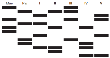 figura de um teste de DNA
