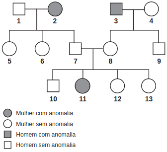 heredograma do grupo familiar