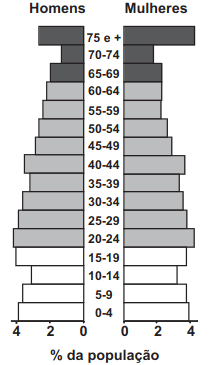 pirâmide etária ilustrada apresenta demanda de investimentos socioeconômicos