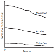 variação 1