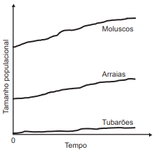 variação 2