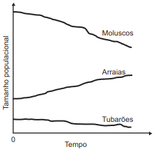 variação 3
