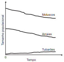 variação 5